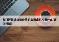 专门评估区块链价值的公司或机构是什么[评估领域]