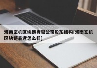 海南玄机区块链有限公司股东结构[海南玄机区块链最近怎么样]